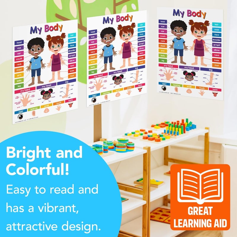 FoldCard Educational Charts for Preschool to Grade 1 Kids – Bright and Colorful Educational Visual/Learning Aid Poster for Classroom or Home | Glossy Durable Cardstock | 8.5" x 11" | 5 per Pack (My Body) - Image 5
